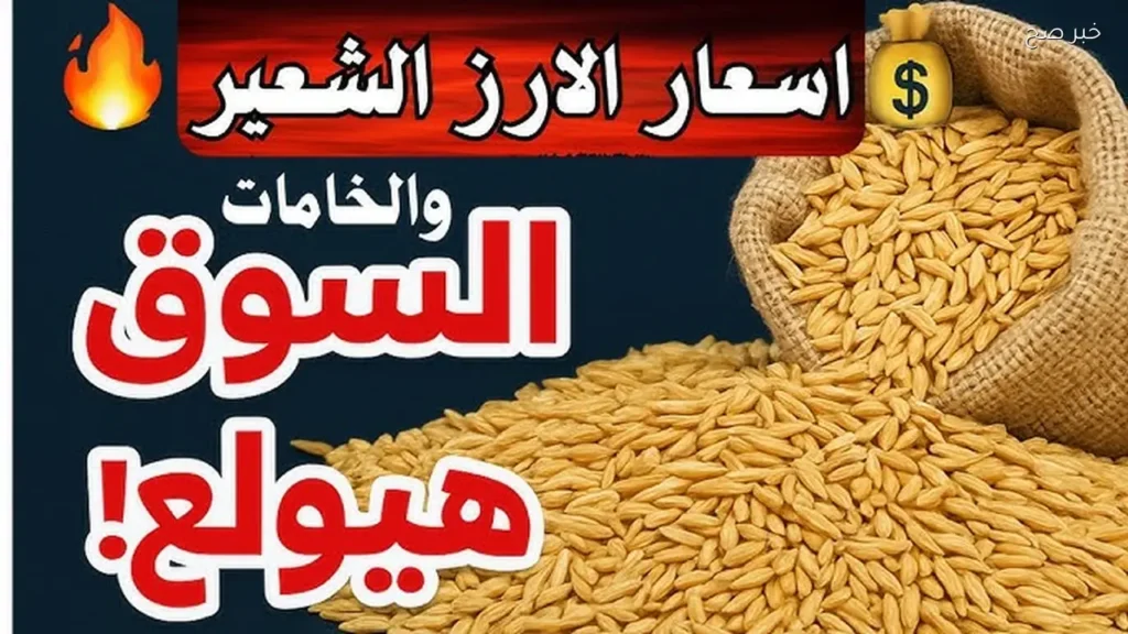 سعر الأرز الشعير اليوم