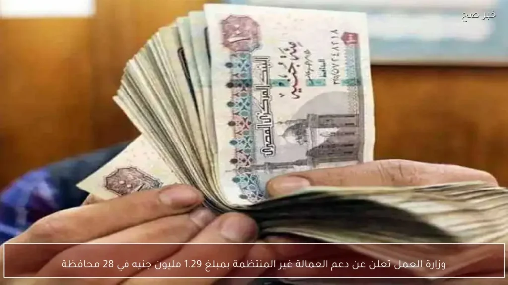 وزارة العمل تعلن عن دعم العمالة غير المنتظمة بمبلغ 1.29 مليون جنيه في 28 محافظة