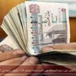 وزارة العمل تعلن عن دعم العمالة غير المنتظمة بمبلغ 1.29 مليون جنيه في 28 محافظة