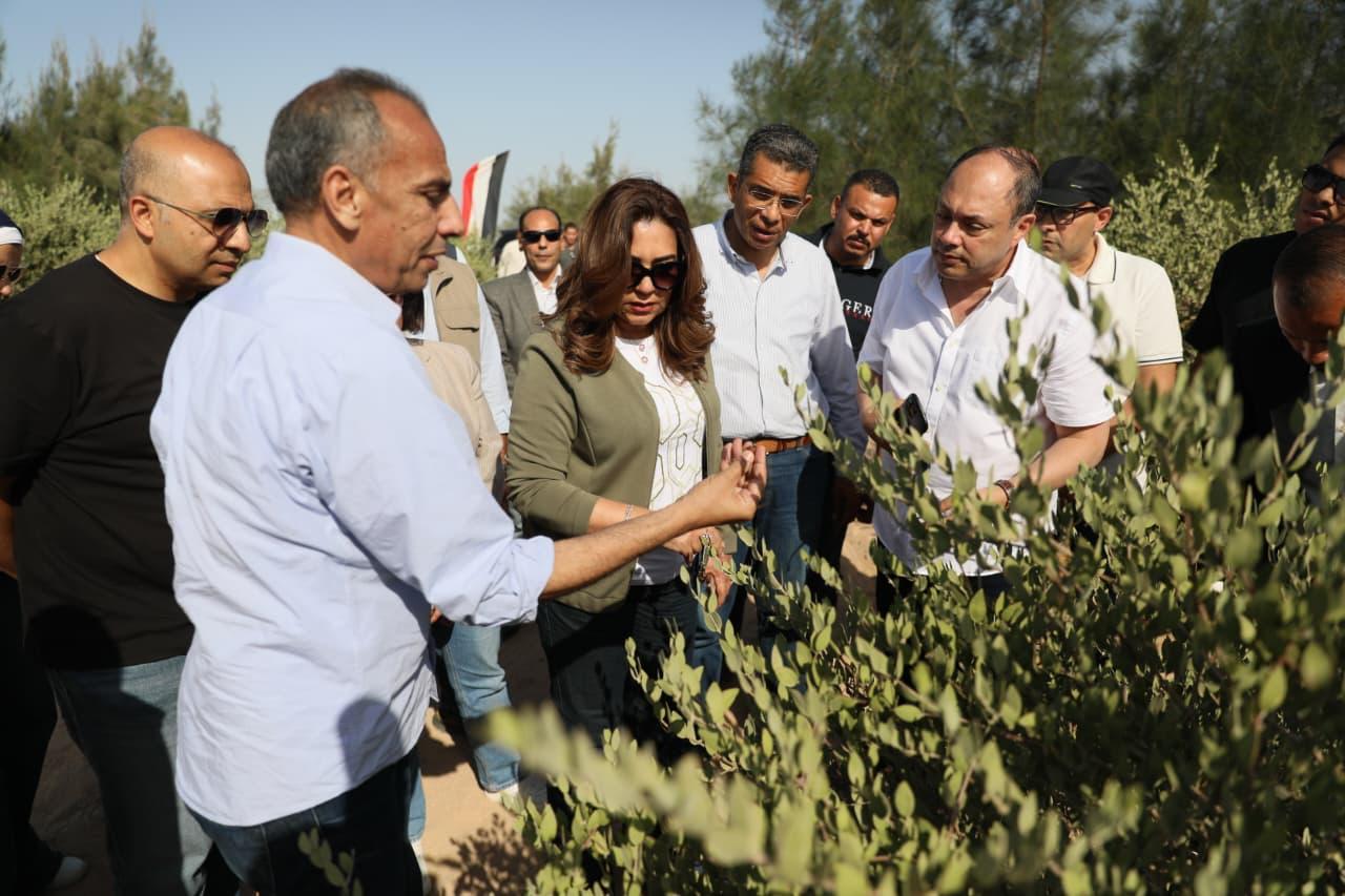 صور الجولة