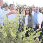 مشروع الجوجوبا في البحر الأحمر يعزز الاقتصاد الأخضر والتنمية المستدامة