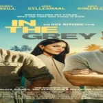 فيلم In the Grey لجاي ريتشي يجمع كافيل وجيلنهال في تجربة أكشن مثيرة