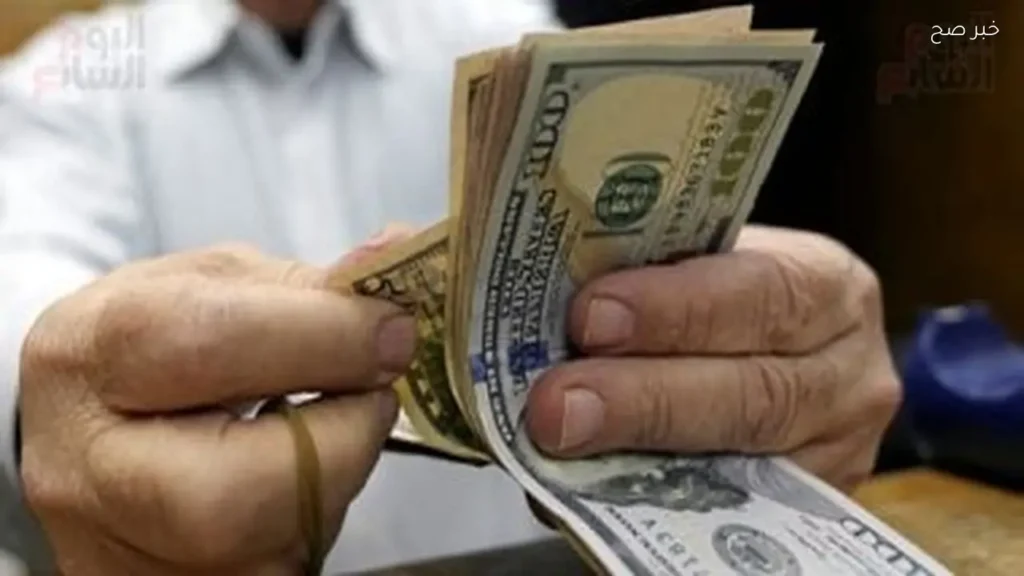 استقرار سعر الدولار أمام الجنيه المصري اليوم 6 يونيو 2026