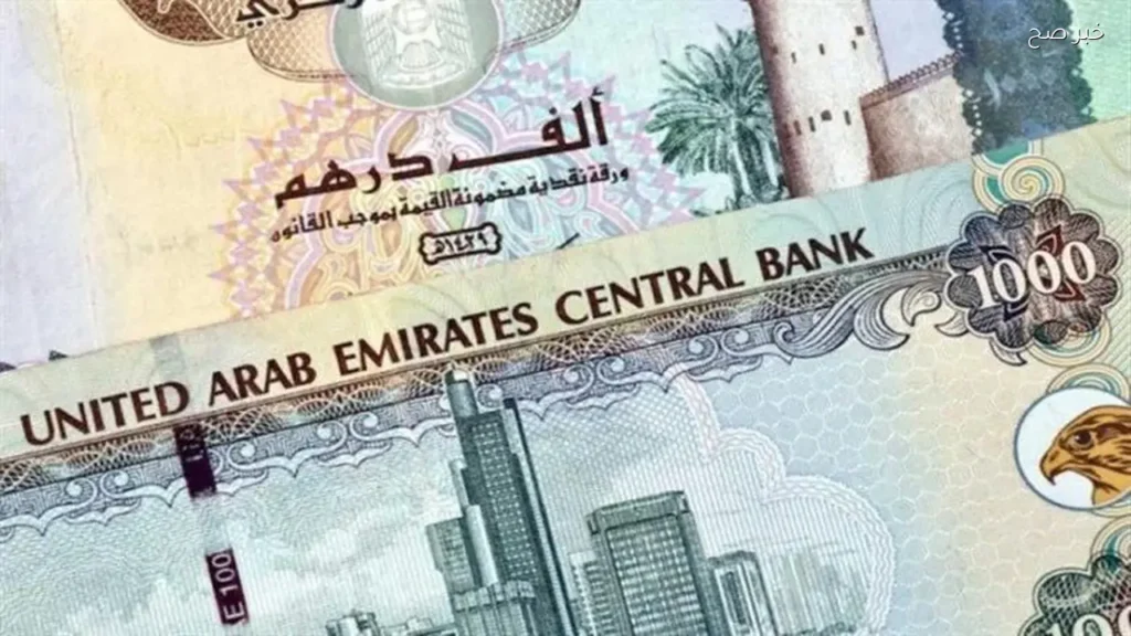 استقرار سعر الدرهم الإماراتي مقابل الجنيه المصري اليوم السبت 6 يونيو 2026