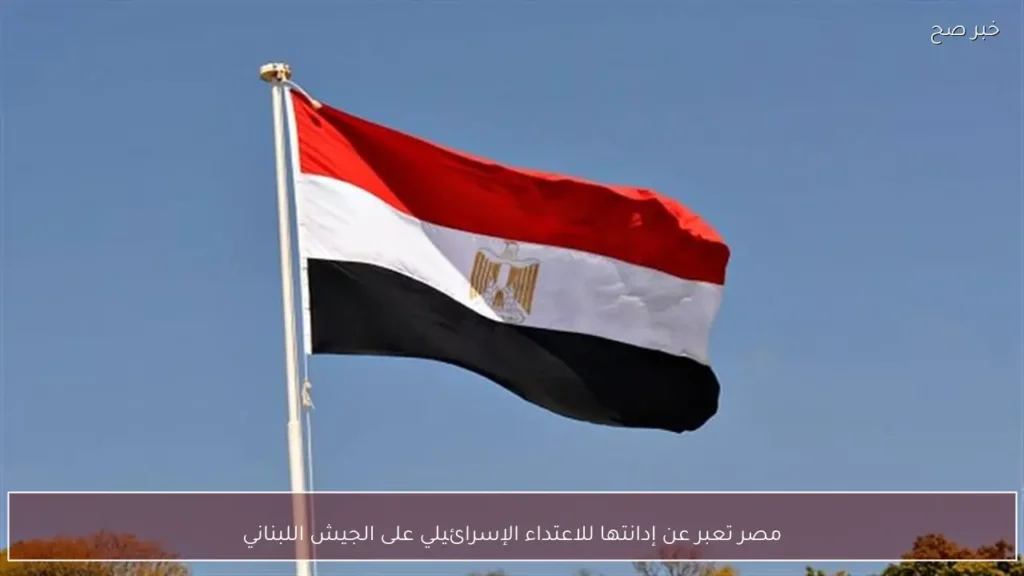 مصر تعبر عن إدانتها للاعتداء الإسرائيلي على الجيش اللبناني