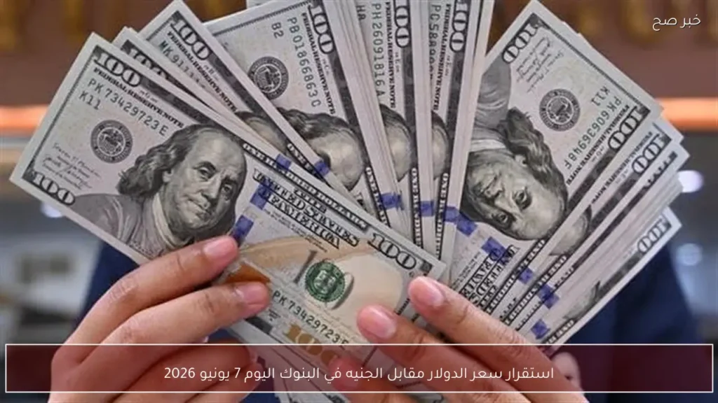 استقرار سعر الدولار مقابل الجنيه في البنوك اليوم 7 يونيو 2026