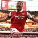 ساليبا: انتقادات كثيرة لكننا توجنا بلقب الدوري الإنجليزي أخيرًا