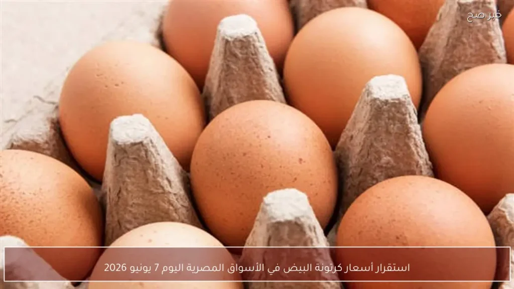 استقرار أسعار كرتونة البيض في الأسواق المصرية اليوم 7 يونيو 2026