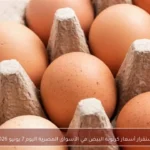 استقرار أسعار كرتونة البيض في الأسواق المصرية اليوم 7 يونيو 2026