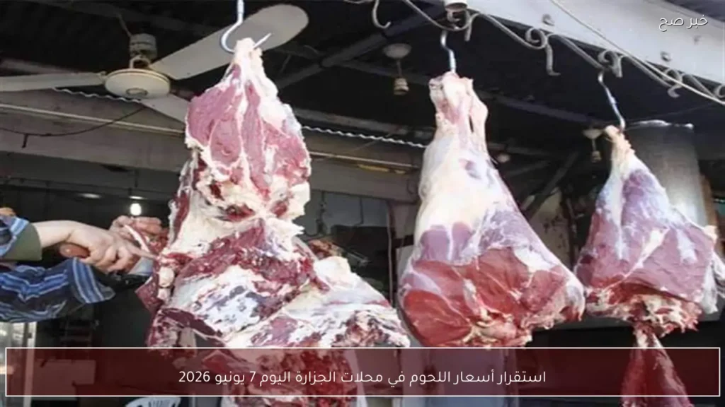 استقرار أسعار اللحوم في محلات الجزارة اليوم 7 يونيو 2026