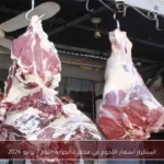 استقرار أسعار اللحوم في محلات الجزارة اليوم 7 يونيو 2026