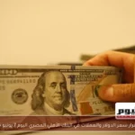 استقرار سعر الدولار والعملات في البنك الأهلي المصري اليوم 7 يونيو 2026