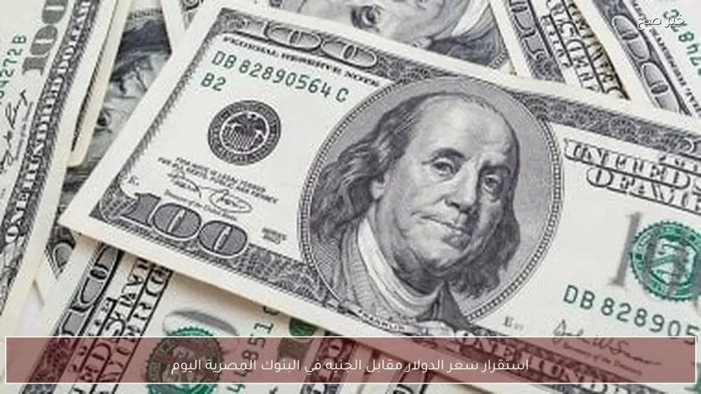 استقرار سعر الدولار مقابل الجنيه في البنوك المصرية اليوم
