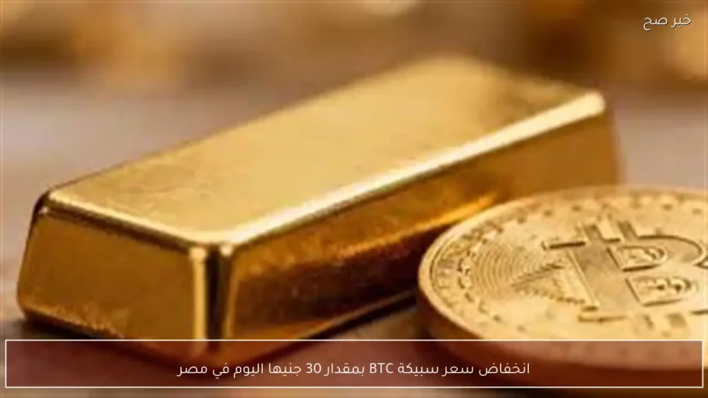 انخفاض سعر سبيكة BTC بمقدار 30 جنيها اليوم في مصر