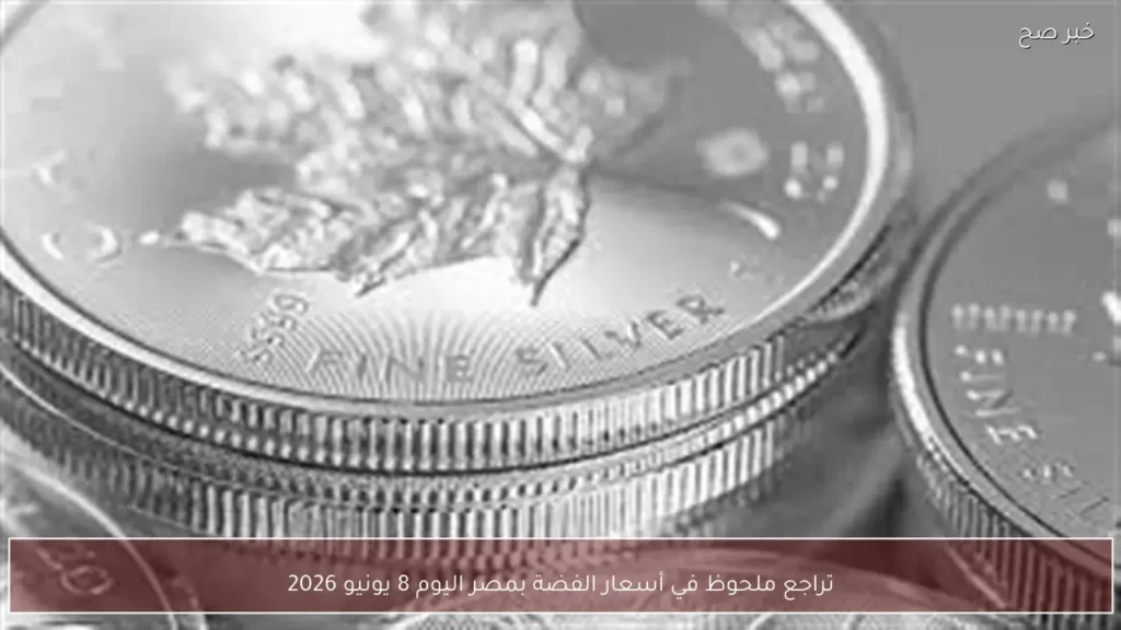 تراجع ملحوظ في أسعار الفضة بمصر اليوم 8 يونيو 2026