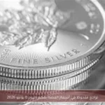 تراجع ملحوظ في أسعار الفضة بمصر اليوم 8 يونيو 2026