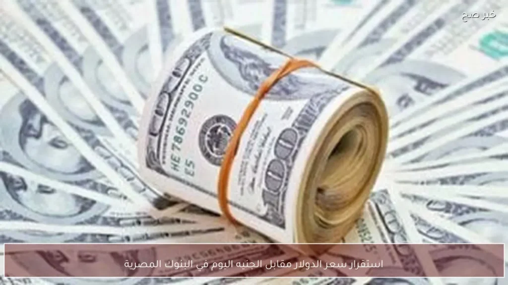 استقرار سعر الدولار مقابل الجنيه اليوم في البنوك المصرية