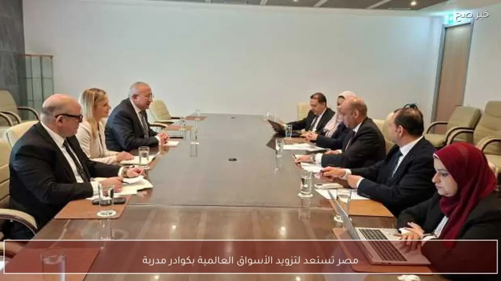 مصر تستعد لتزويد الأسواق العالمية بكوادر مدربة