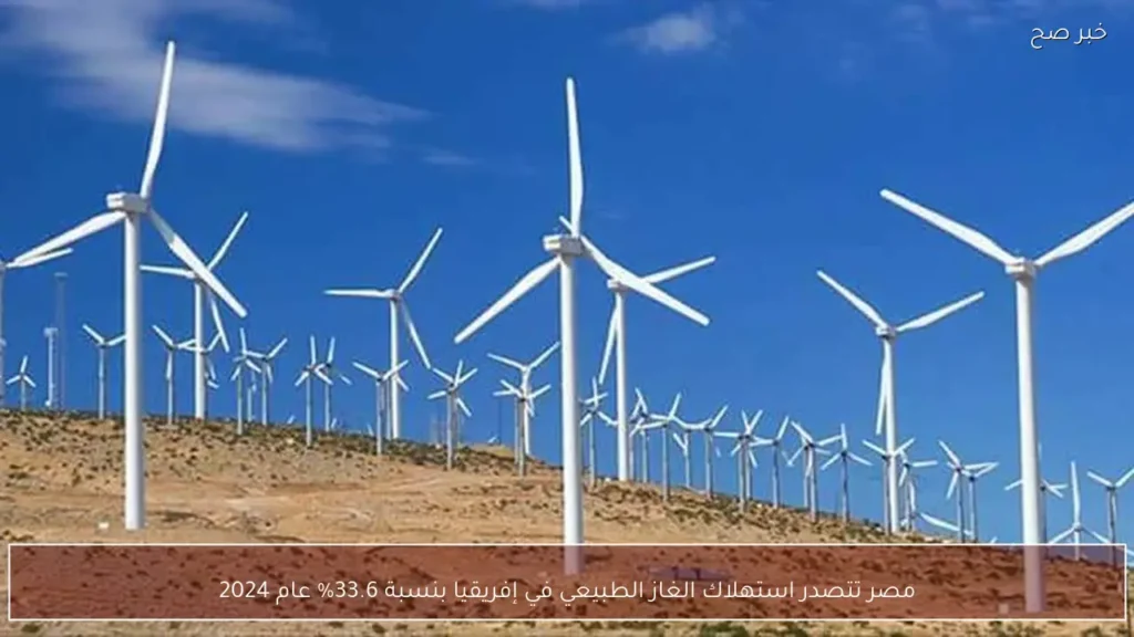 مصر تتصدر استهلاك الغاز الطبيعي في إفريقيا بنسبة 33.6% عام 2024