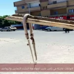 إجراءات عاجلة في رأس غارب لمواجهة انتشار الثعابين والزواحف