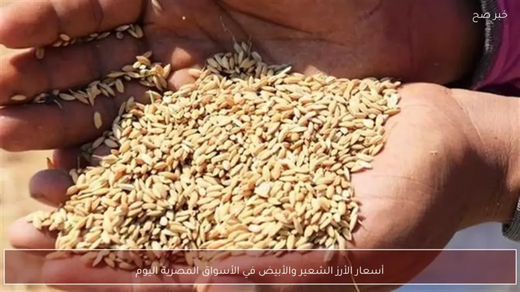 أسعار الأرز الشعير والأبيض في الأسواق المصرية اليوم
