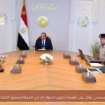 السيسي يؤكد على أهمية تطوير الجهاز الإداري للدولة لتحقيق الكفاءة