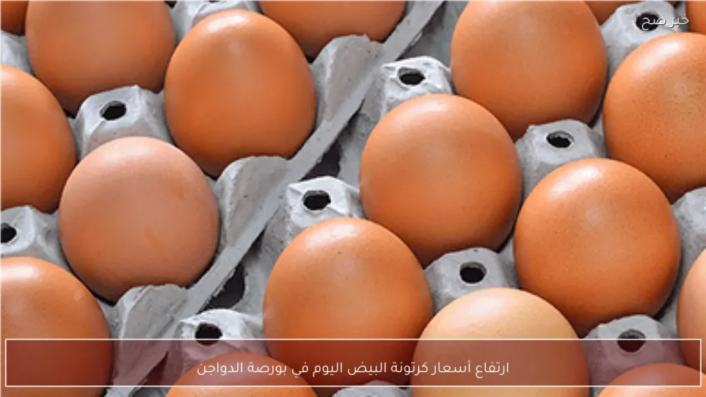 ارتفاع أسعار كرتونة البيض اليوم في بورصة الدواجن