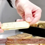 صناديق الاستثمار تحقق عائدًا قياسيًا بنسبة 38.66% في 5 أشهر