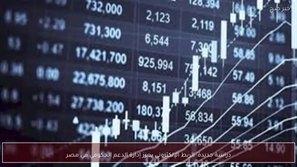 دراسة جديدة: الربط الإلكتروني يعزز إدارة الدعم الحكومي في مصر