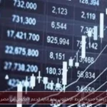 دراسة جديدة: الربط الإلكتروني يعزز إدارة الدعم الحكومي في مصر