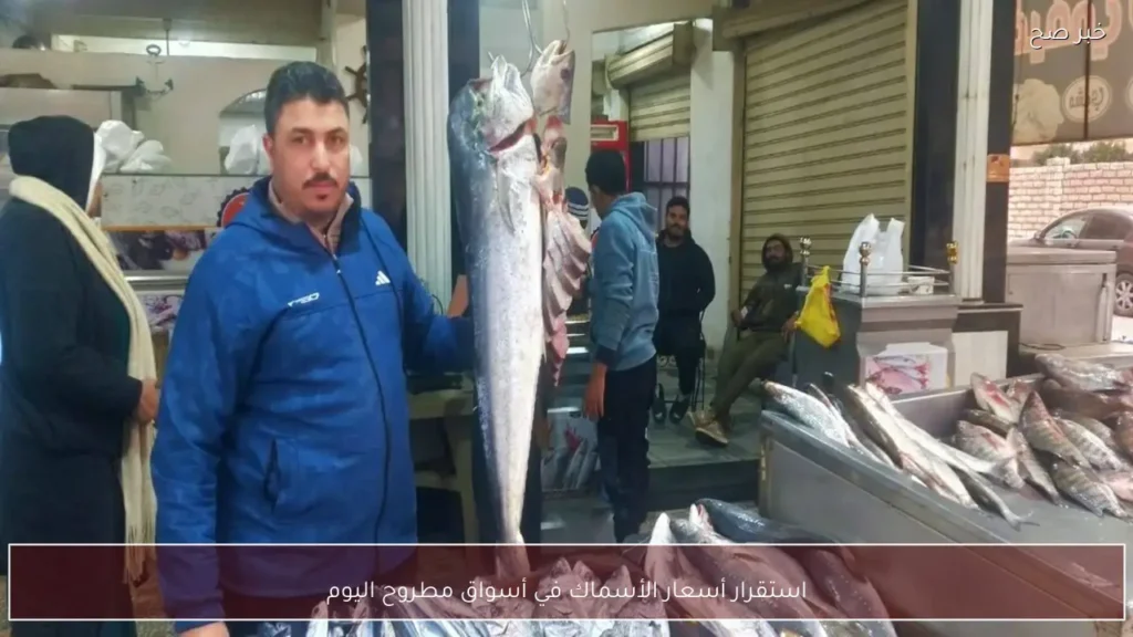 استقرار أسعار الأسماك في أسواق مطروح اليوم