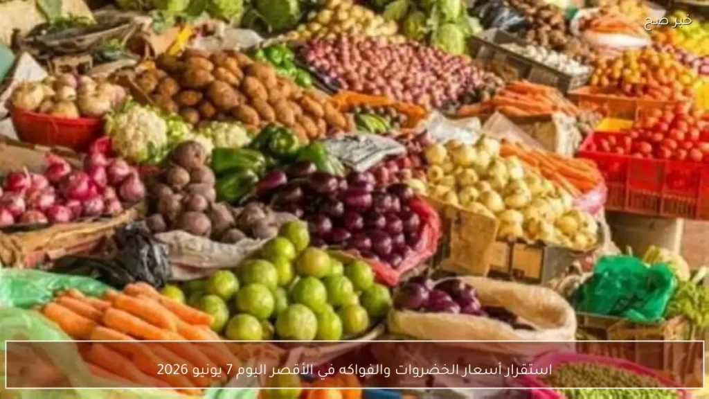 استقرار أسعار الخضروات والفواكه في الأقصر اليوم 7 يونيو 2026