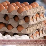 استقرار أسعار الفراخ والبيض في الأقصر اليوم 7 يونيو 2026
