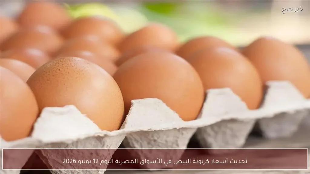 تحديث أسعار كرتونة البيض في الأسواق المصرية اليوم 12 يونيو 2026