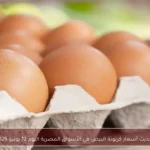 تحديث أسعار كرتونة البيض في الأسواق المصرية اليوم 12 يونيو 2026