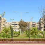 تطوير شامل للمناطق السكنية والشوارع في بورسعيد
