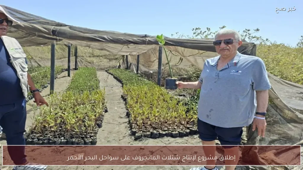 إطلاق مشروع لإنتاج شتلات المانجروف على سواحل البحر الأحمر