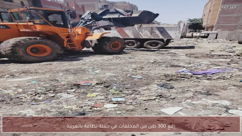 رفع 300 طن من المخلفات في حملة نظافة بالغربية