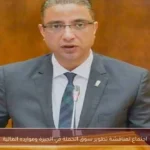 اجتماع لمناقشة تطوير سوق الجملة في الجيزة وموارده المالية