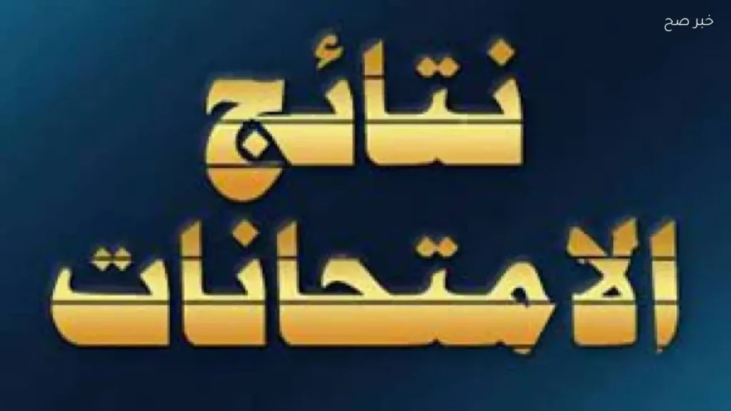 نتائج سنوات النقل 2026 في الجيزة متاحة الآن عبر الإنترنت