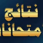 نتائج سنوات النقل 2026 في الجيزة متاحة الآن عبر الإنترنت