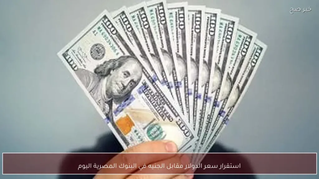 استقرار سعر الدولار مقابل الجنيه في البنوك المصرية اليوم