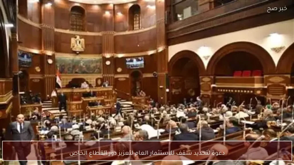 دعوة لتحديد سقف للاستثمار العام لتعزيز دور القطاع الخاص