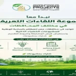 الإسكندرية تنظم ندوة لإطلاق الدورة الجديدة للمشروعات الخضراء الذكية في يوليو