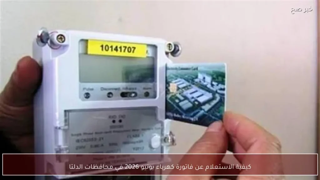 كيفية الاستعلام عن فاتورة كهرباء يونيو 2026 في محافظات الدلتا