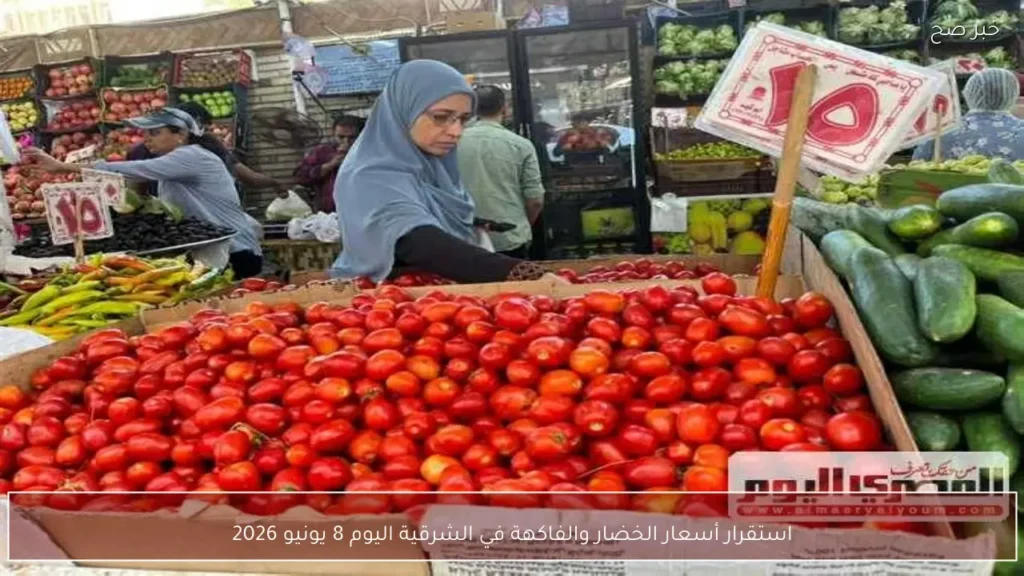 استقرار أسعار الخضار والفاكهة في الشرقية اليوم 8 يونيو 2026