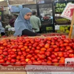 استقرار أسعار الخضار والفاكهة في الشرقية اليوم 8 يونيو 2026