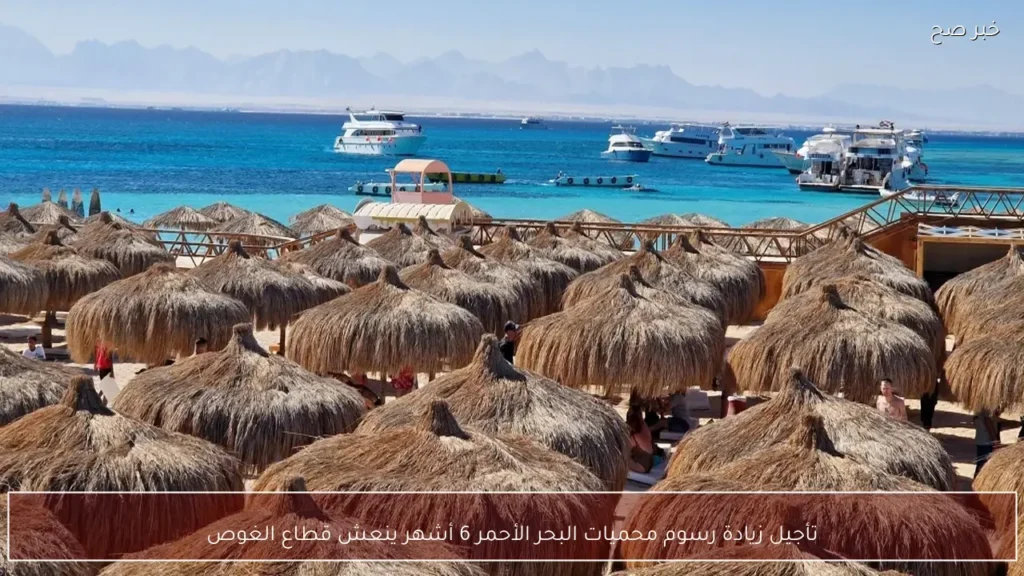 تأجيل زيادة رسوم محميات البحر الأحمر 6 أشهر ينعش قطاع الغوص
