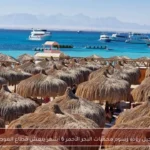 تأجيل زيادة رسوم محميات البحر الأحمر 6 أشهر ينعش قطاع الغوص