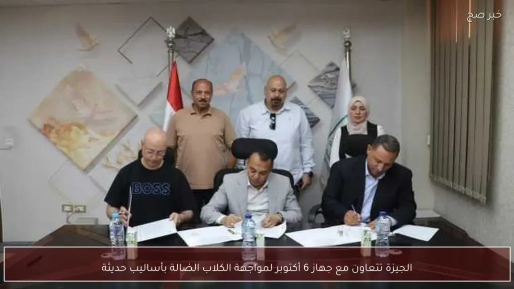 الجيزة تتعاون مع جهاز 6 أكتوبر لمواجهة الكلاب الضالة بأساليب حديثة